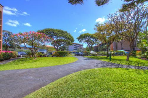 Apartamento Maui Vista 3101