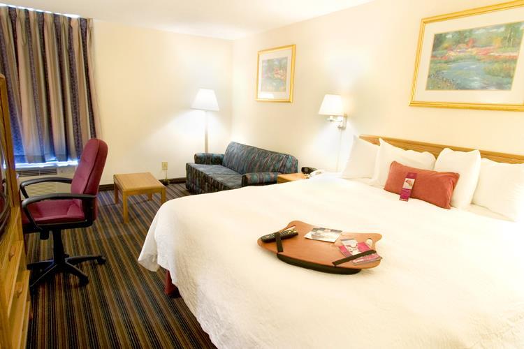 Hotel Hampton Inn Atlanta-marietta