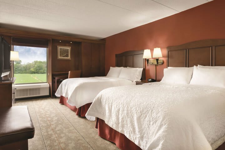 Hotel Hampton Inn Cincinnati/kings Island