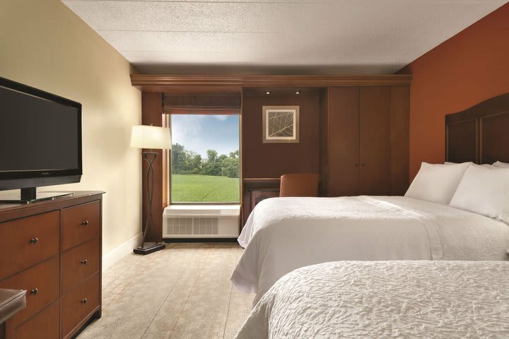 Hotel Hampton Inn Cincinnati/kings Island