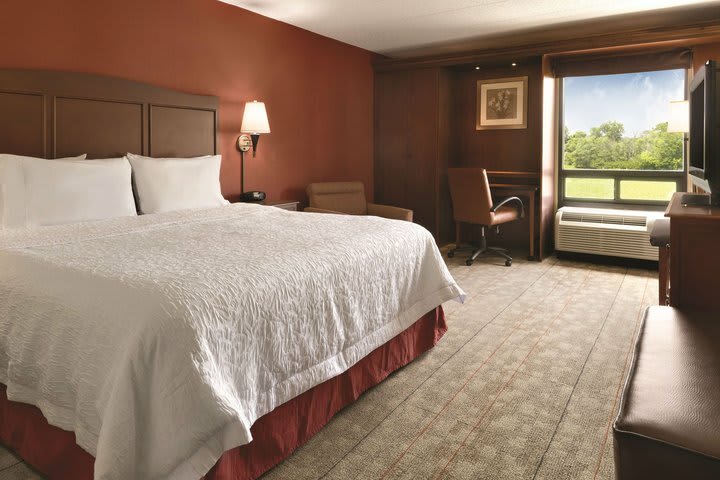 Hotel Hampton Inn Cincinnati/kings Island