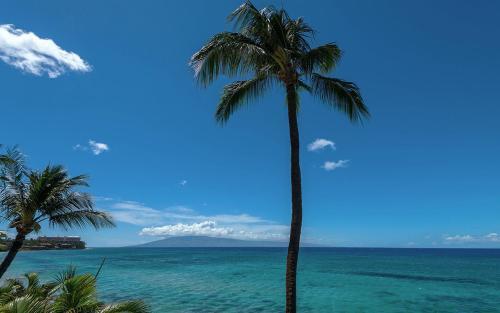 Apartamento Hale Ono Loa 409 Condo