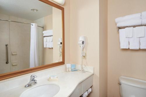 Hotel Hampton Inn & Suites Roswell Nm