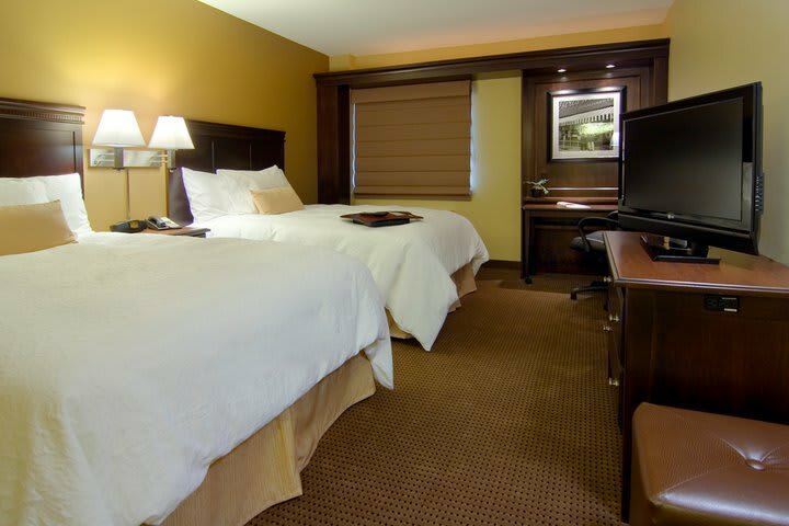 Hotel Hampton Inn & Suites Omaha-downtown