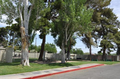 Las Vegas Camping Resort Cabin 6