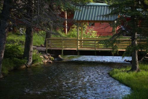 Lodge Bear Paw Cabin