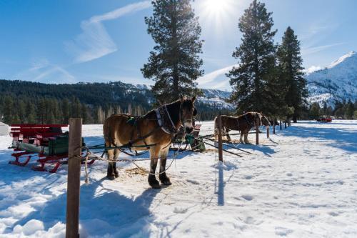 Apartamento Aspen Suites 505: Enchantment Abode