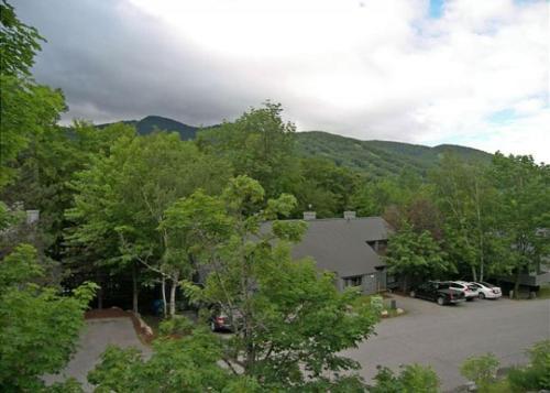 Village Of Loon 33-1 (v044e)