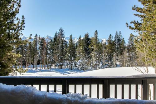 Mammoth Green Condos