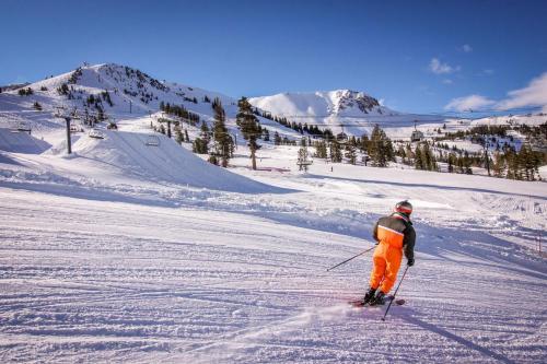 Mammoth Green Condos