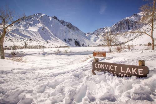 Mammoth Green Condos