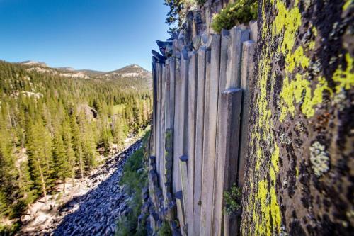 Mountainback 47
