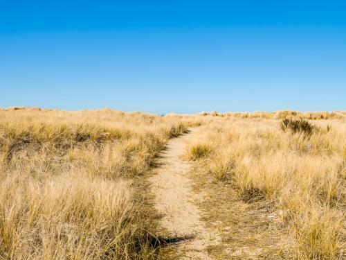 Waters Edge ~ Mca 1427