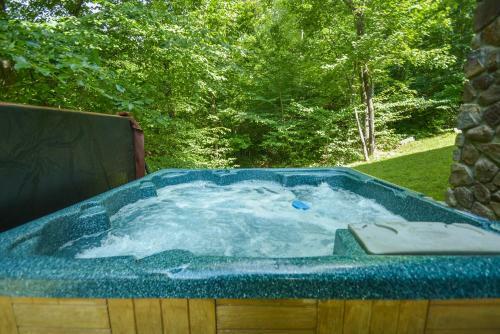 Cozy Bear Chalet Four-bedroom Holiday Home