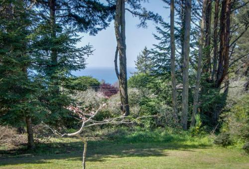 Mendocino Magic
