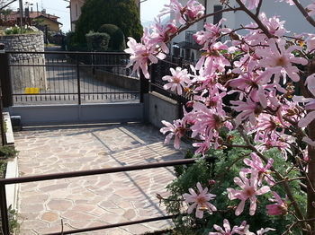 Self Catering Apartment Co.ri. - Menaggio