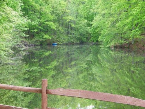 Lake Myers Lakeside Villa 25
