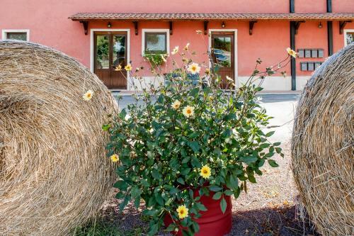 Hotel Agriturismo La Meridiana