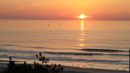 Apartamento Bluewater Resort 303