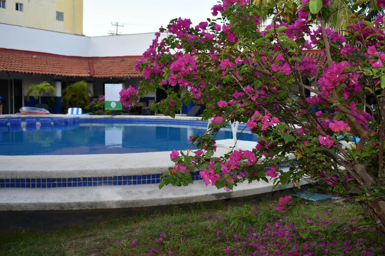 Hotel Plaza Almendros