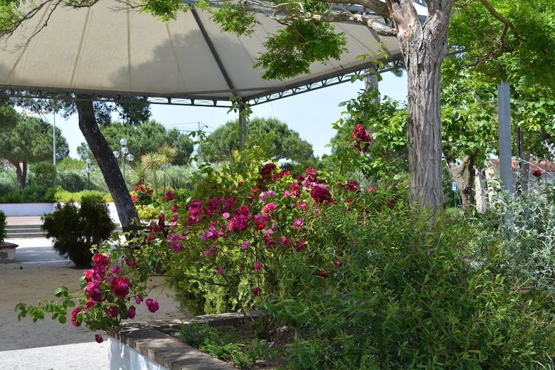 Hotel Paradise Vacanze