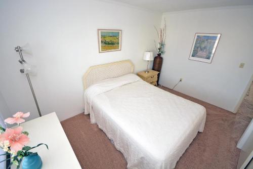 Apartamento Assateague House 508 Condo