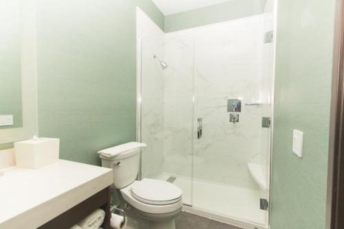 The Fin Boutique Hotel