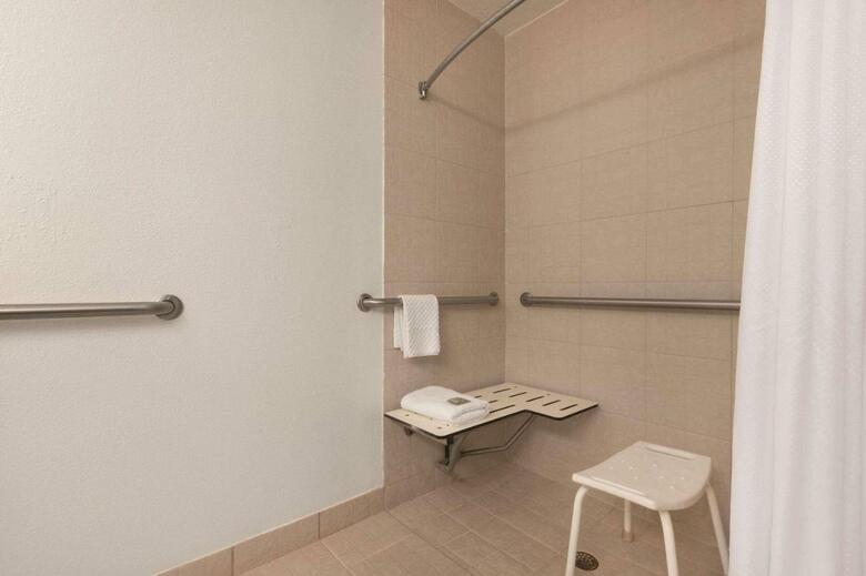 Hotel Holiday Inn Express Tampa Stadium Apt
