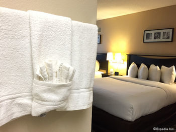 Hotel Comfort Inn Maingate