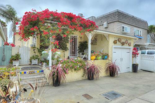 116sc- 906563 The Sunshine Bungalow