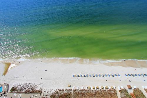 Apartamento Tidewater II 2816 By Realjoy