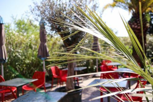 Hotel H�tel La Villa Florida