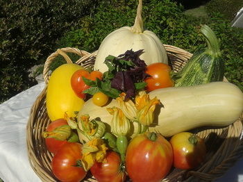 Bed & Breakfast La Campagne St Lazare