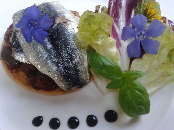 Bed & Breakfast La Campagne St Lazare