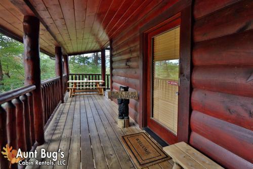Black Bear Hibernation #2825 - Two Bedroom Cabin