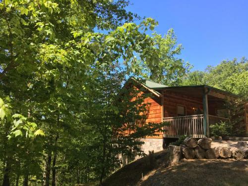Bear Tracks Red Bud Cabin Mtn Setting Close To Parkway