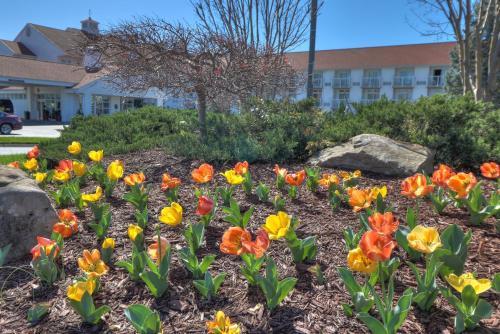 Hotel Comfort Inn Apple Valley Sevierville