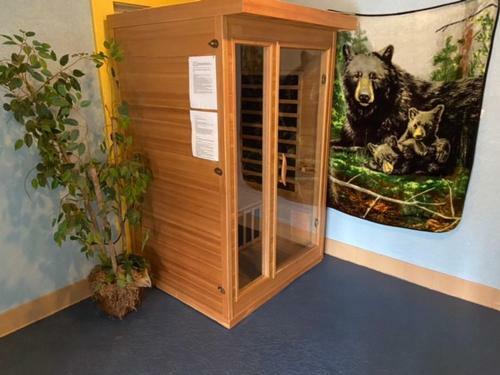 Swim N Bear Honeymoon Cabin With Private Pool