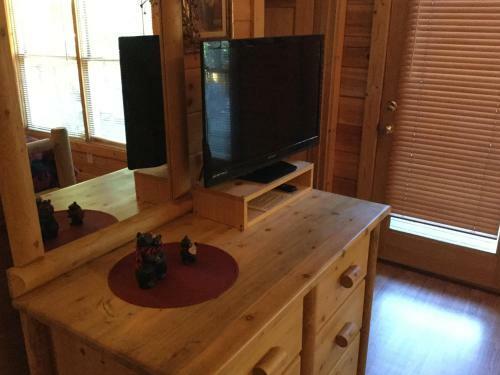 Swim N Bear Honeymoon Cabin With Private Pool