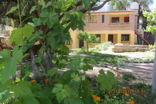 Waira Hostel-camping
