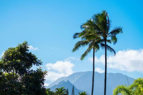 Villas Of Kamalii #27
