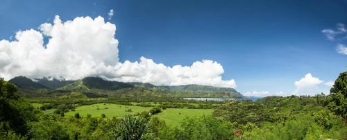 Apartamento Cliffs At Princeville #7302