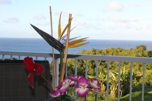Apartamento Cliffs At Princeville #7302