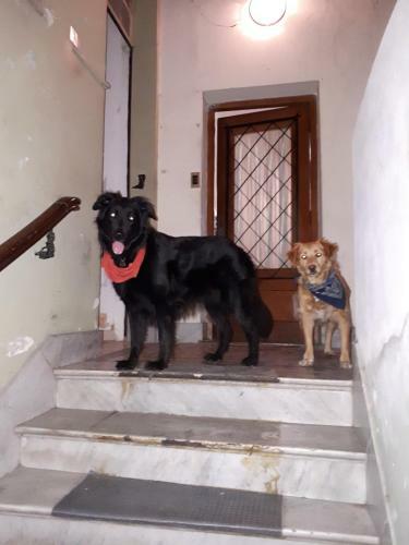 Chez Amancay! Bed & Breakfast