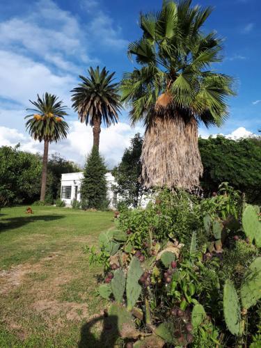 Bed & Breakfast Finca Los Tres Changos