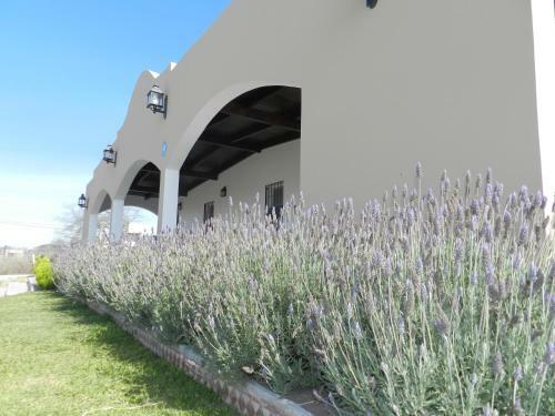 Agroturismo Portal De La Cordillera
