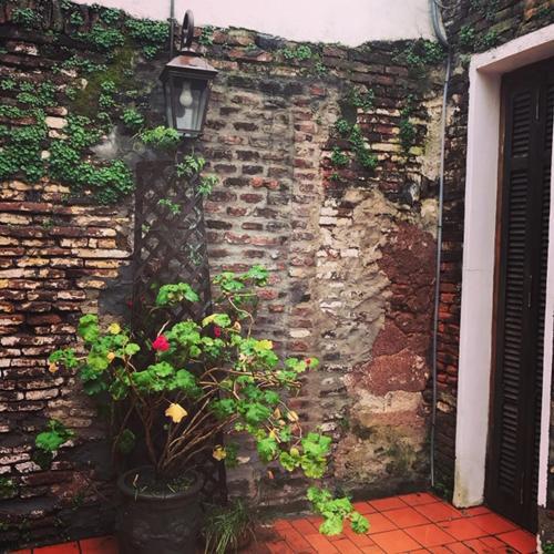 Bed & Breakfast Posada Del Empedrado