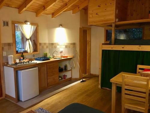 Cozy Mountain Cabin