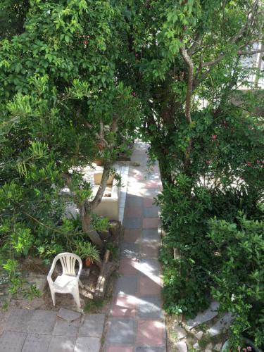 Apartamento Departamentos Yunque