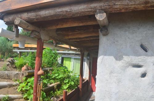 Eco-hostal Vegetariano Conciencia Del Tuy�